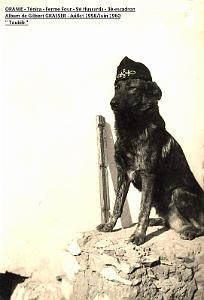 Grasser-9e Hussards - 072